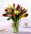 Mixed Tulips in vase