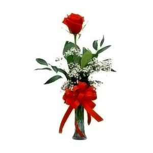 Single Rose In Glass Vase To Dubai From Emiratesflorist Com