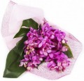 Mokara Orchids bouquets