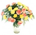 Mixed carnations