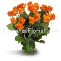 Orange Roses